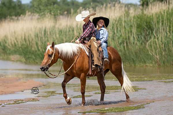 roping-quarter-pony