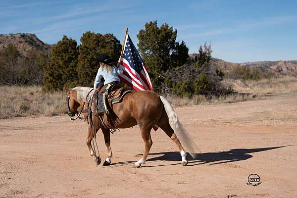 trail-riding-quarter-pony