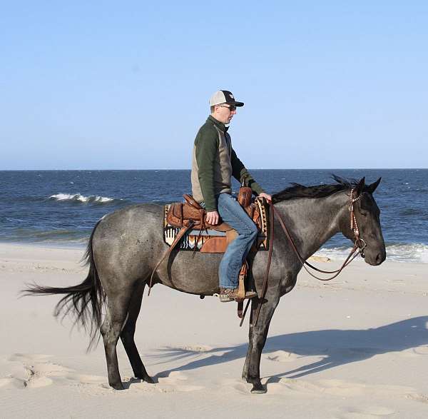 cowboy-mounted-shooting-quarter-pony