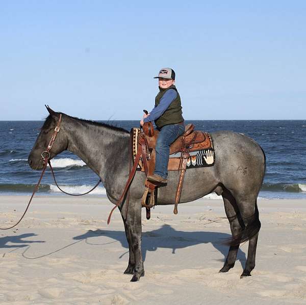 equitation-quarter-pony