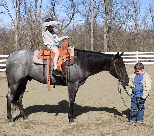 flashy-quarter-pony
