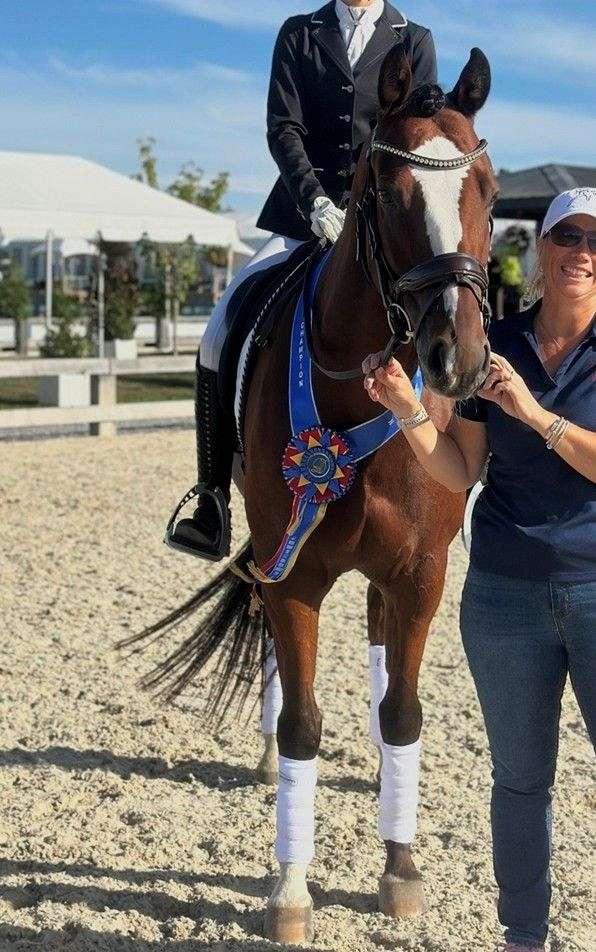 white-left-fore-horse