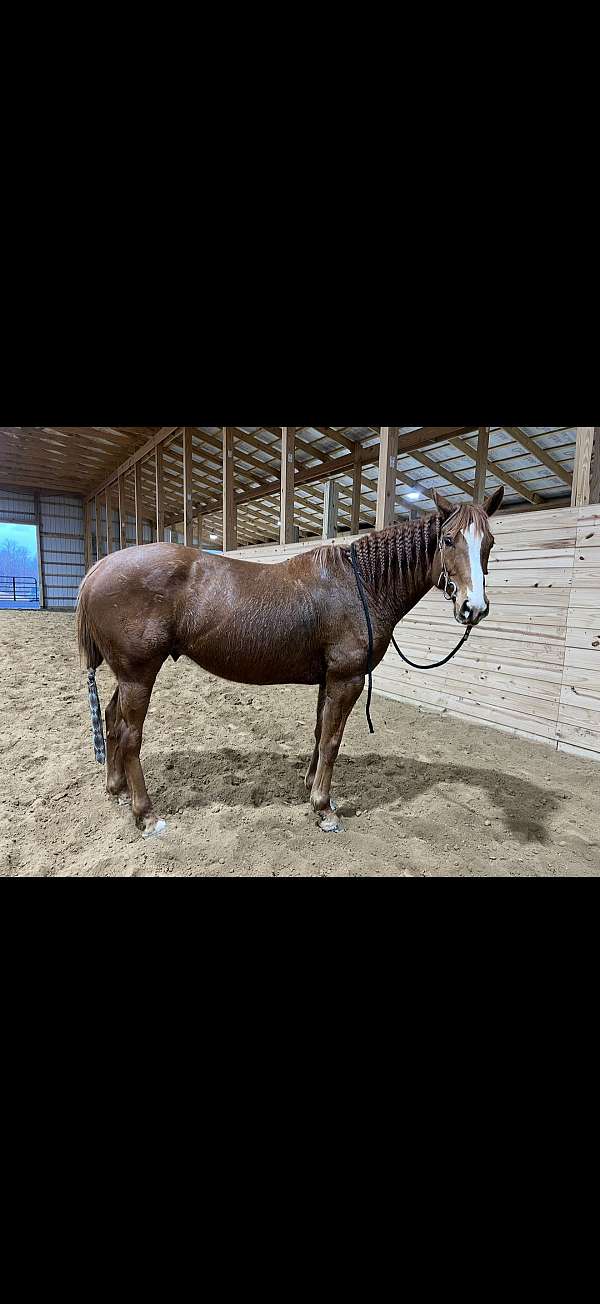 blaze-horse
