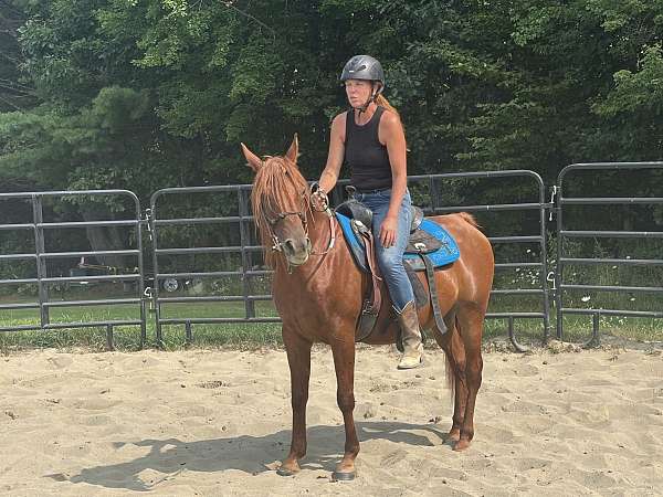 kismet-mare