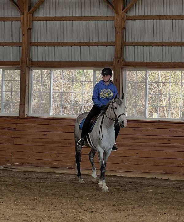 beginner-pony