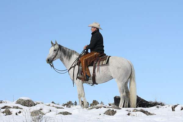 big-stopper-mare