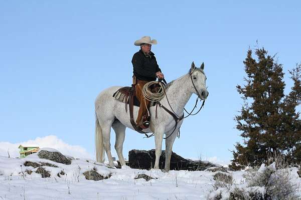 cody-mare