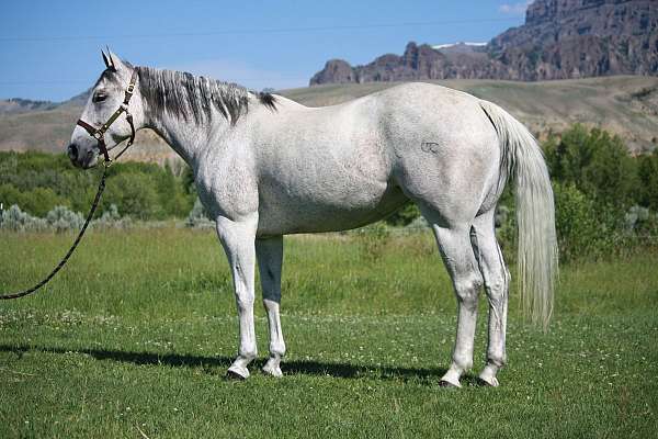 cooper-mare