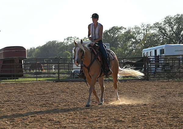 ridden-western-quarter-pony