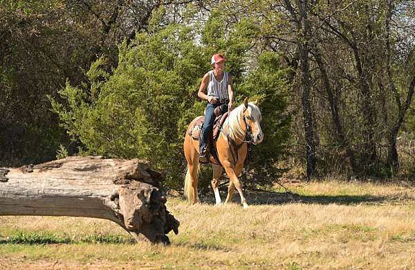 roping-quarter-pony