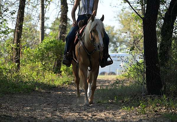 trail-quarter-pony