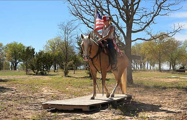 palomino-quarter-horse-gelding
