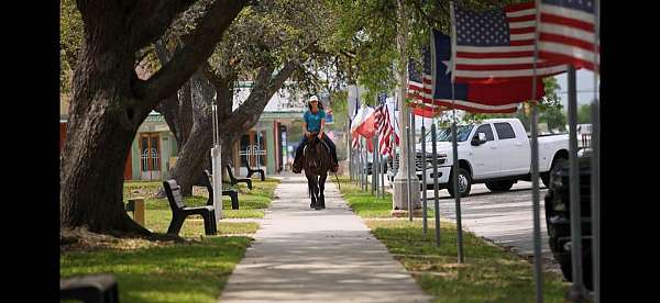 ranch-versatility-draft-horse