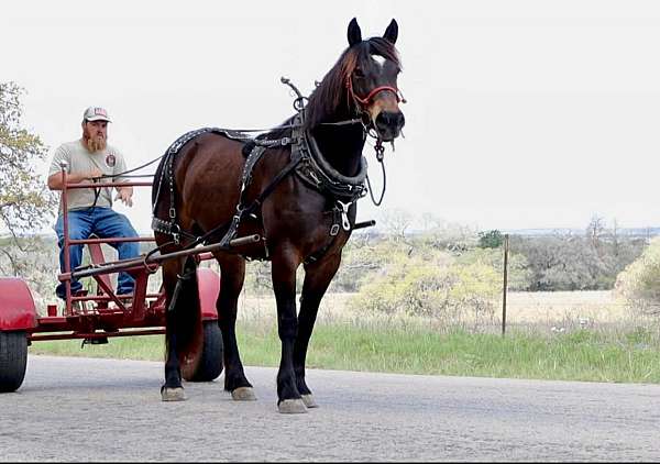 ranch-work-draft-horse