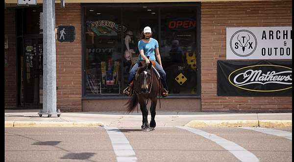 working-draft-horse