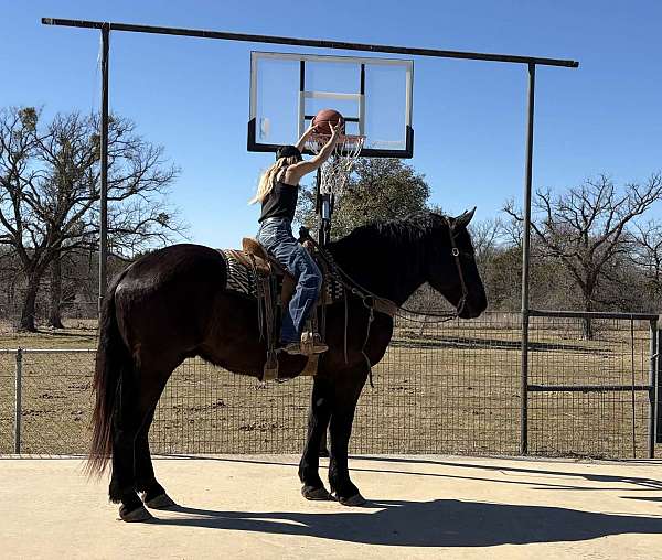 flashy-draft-horse