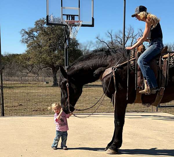 performance-draft-horse
