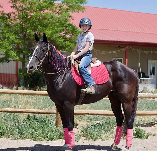 buckskin-shr-mare