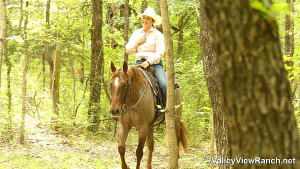 ranch-work-quarter-horse