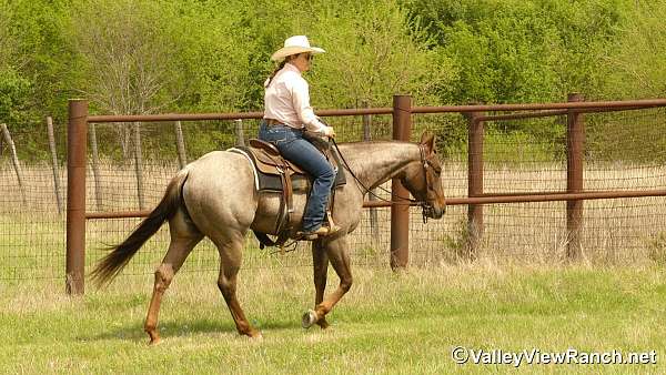 trail-riding-quarter-horse