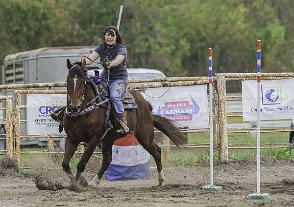 enjoyable-appendix-horse