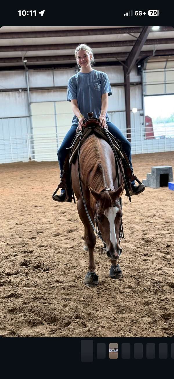 chestnut-blaze-horse