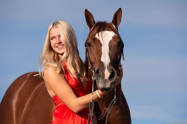 class-winner-horse