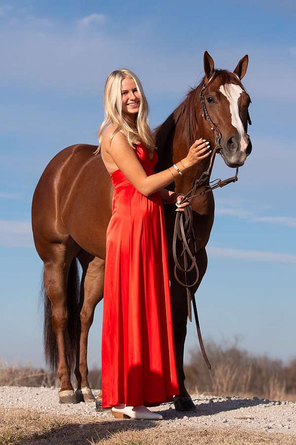 class-winner-filly
