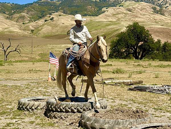 roping-quarter-horse