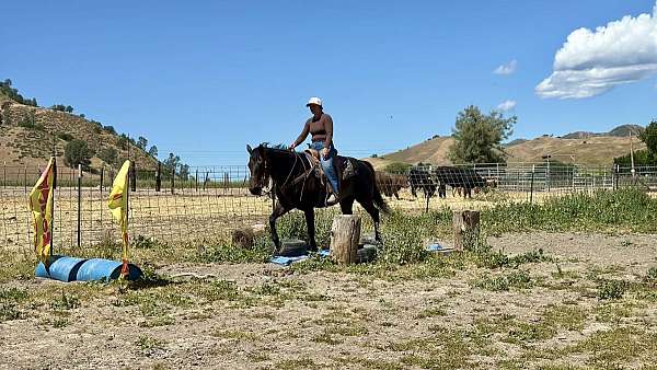 performance-quarter-horse