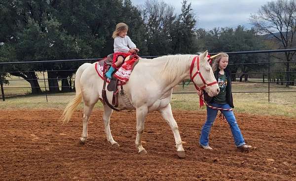 all-around-quarter-pony