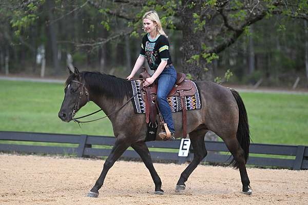 flashy-quarter-horse