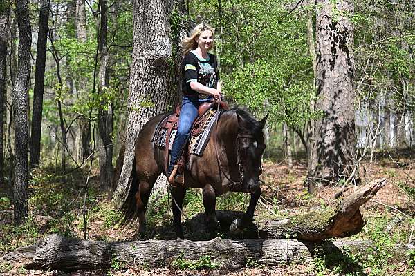 bombproof-quarter-horse