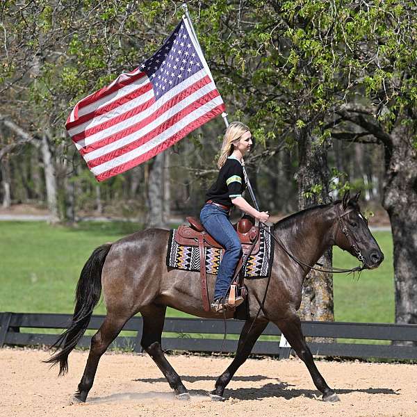 ranch-quarter-horse