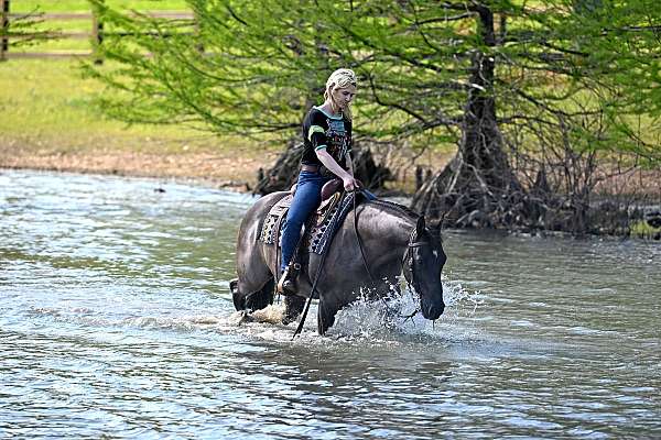 gentle-quarter-horse