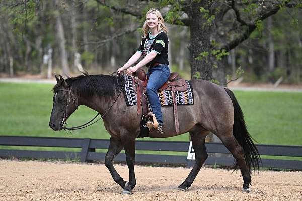 western-quarter-horse