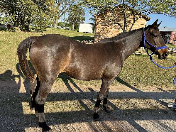back-right-sock-horse
