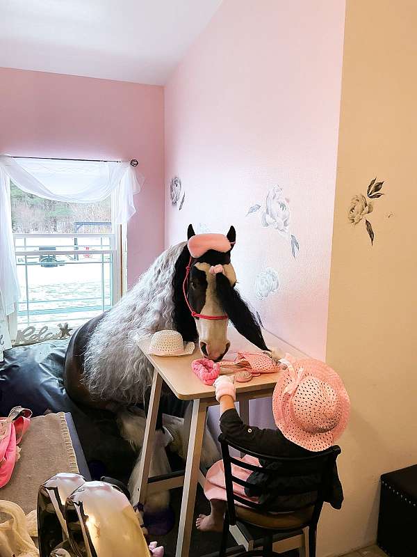 trail-gypsy-vanner-pony