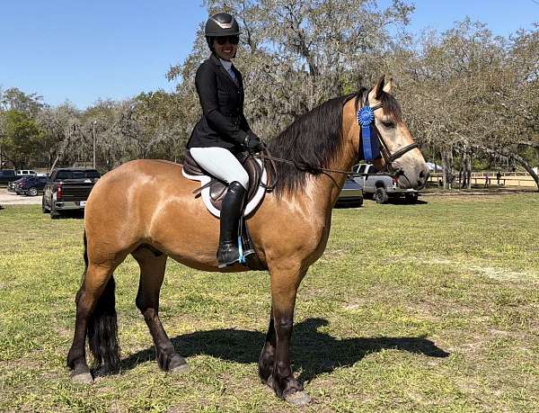 athletic-draft-horse