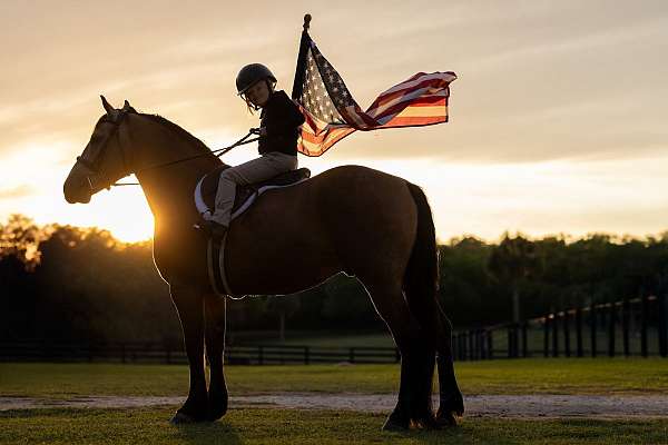 jumping-draft-horse