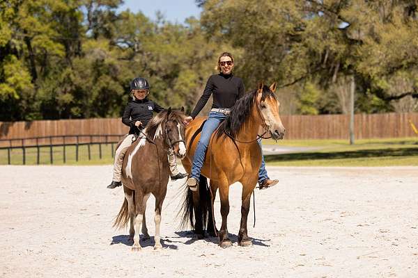 lesson-draft-horse