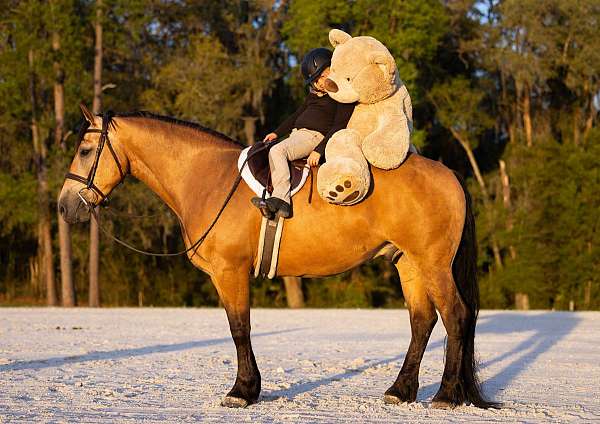 flashy-draft-horse