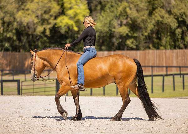 performance-draft-horse