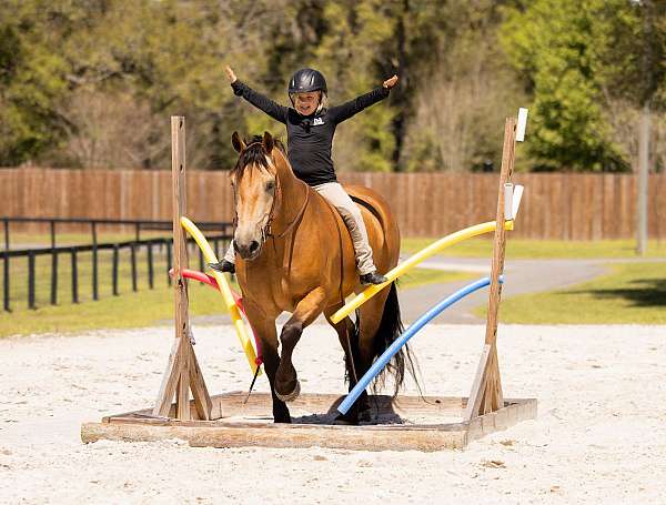 ridden-english-draft-horse