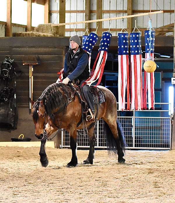ranch-work-draft-horse