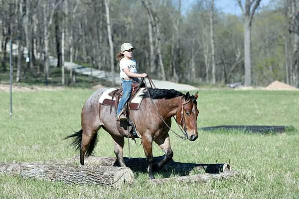 athletic-quarter-horse