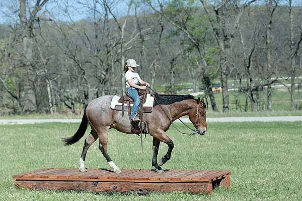 performance-quarter-horse