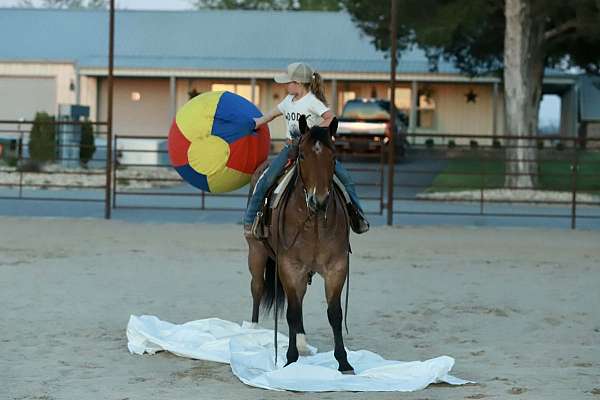 ranch-work-quarter-horse