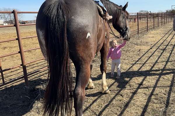 ranch-versatility-draft-horse
