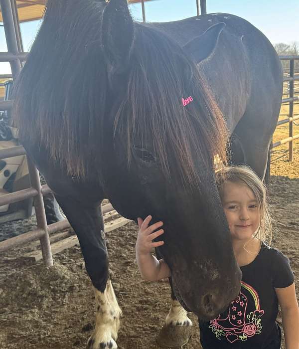 ranch-work-draft-horse